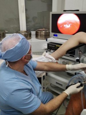 e73b0c95-744c-40b5-ad82-fee15e0774ee